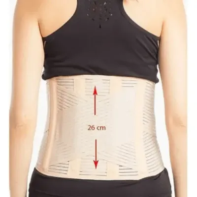 EVO CEINTURE LOMBOSTA 26CM STD